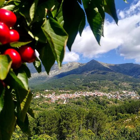 Albareilla By #Cherrygredos El Arenal  Exterior foto