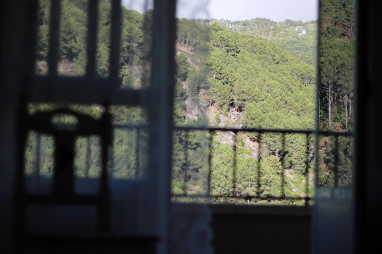 Albareilla By #Cherrygredos El Arenal  Exterior foto