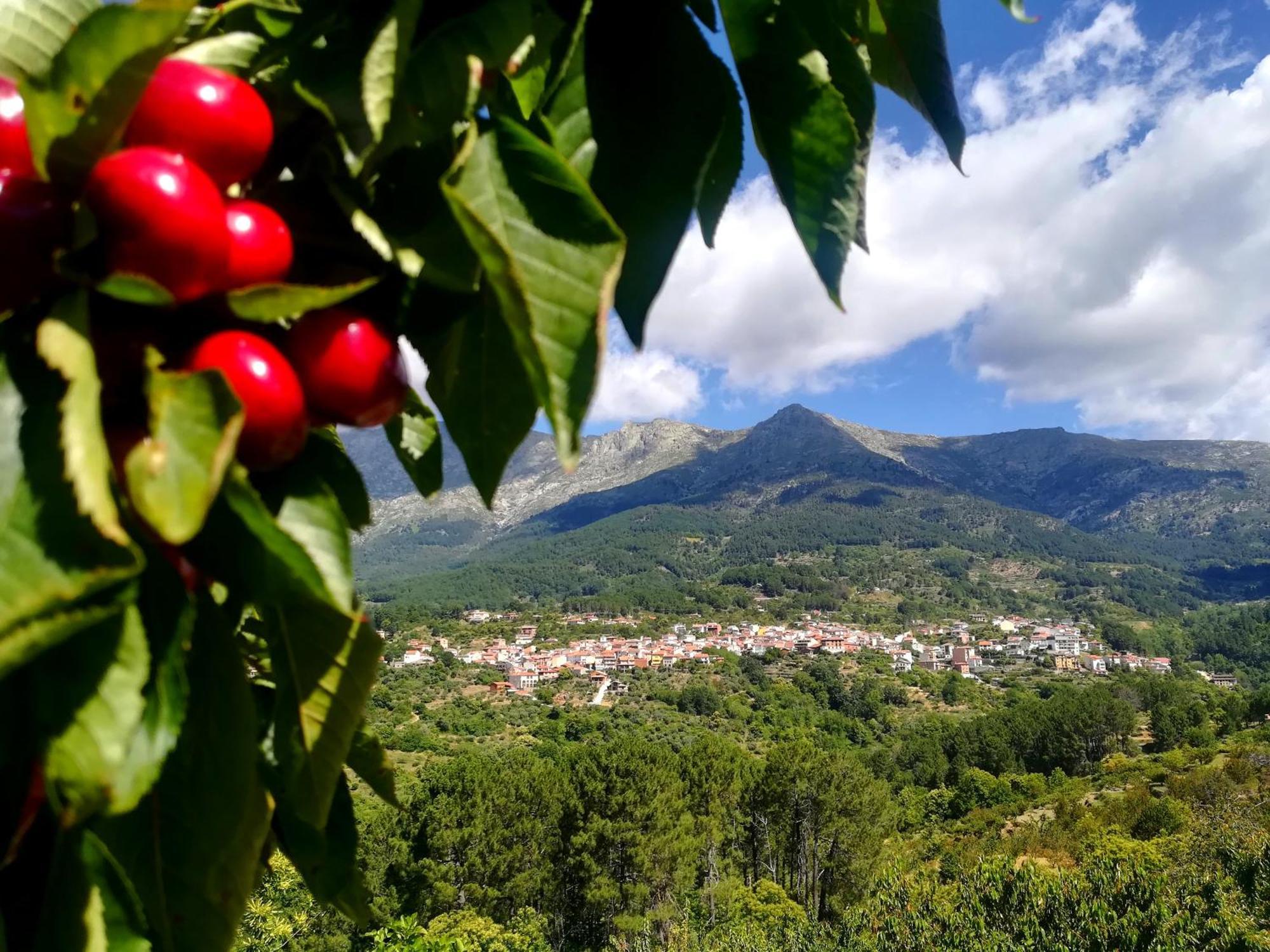 Albareilla By #Cherrygredos El Arenal  Exterior foto