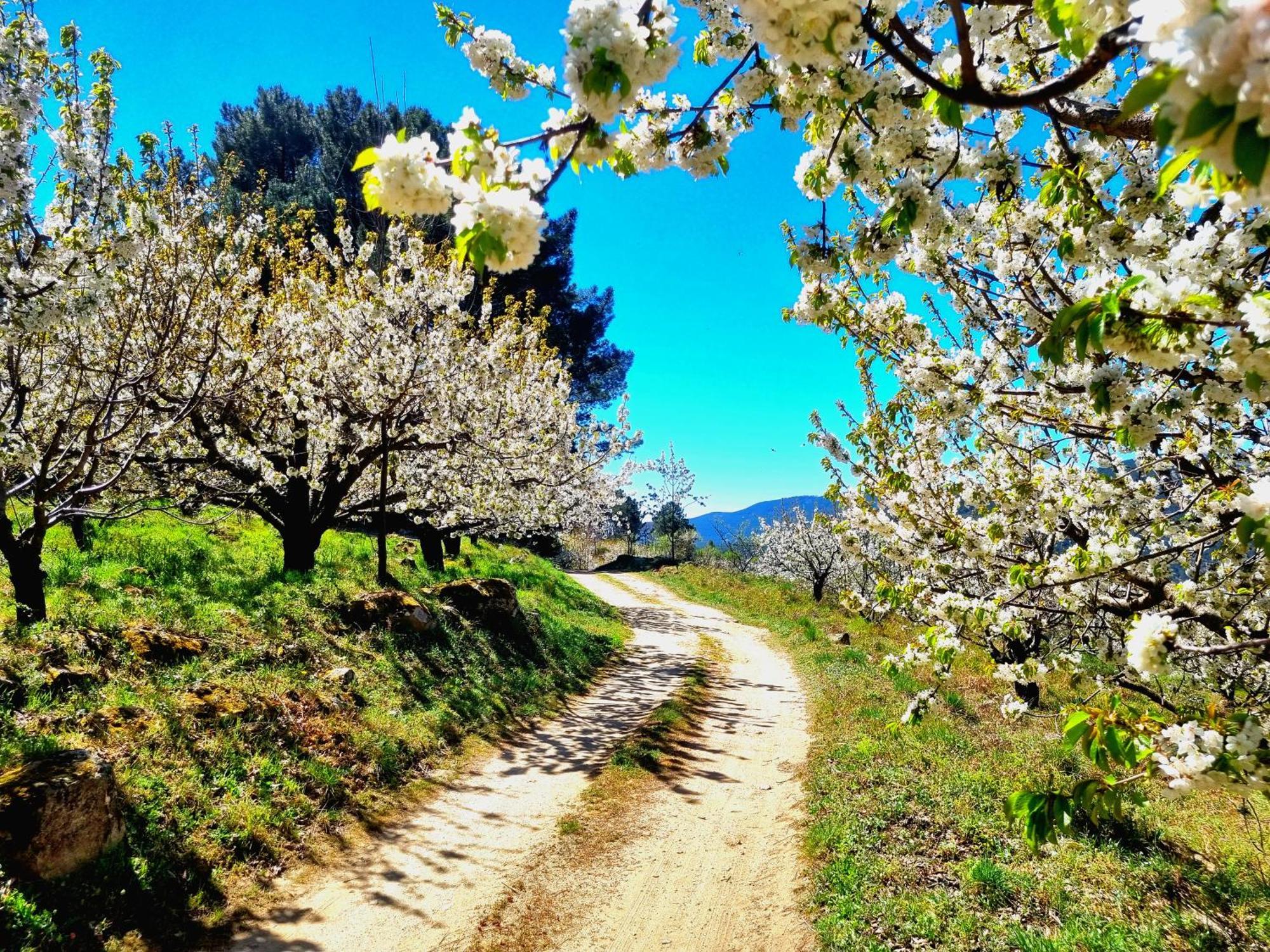 Albareilla By #Cherrygredos El Arenal  Exterior foto