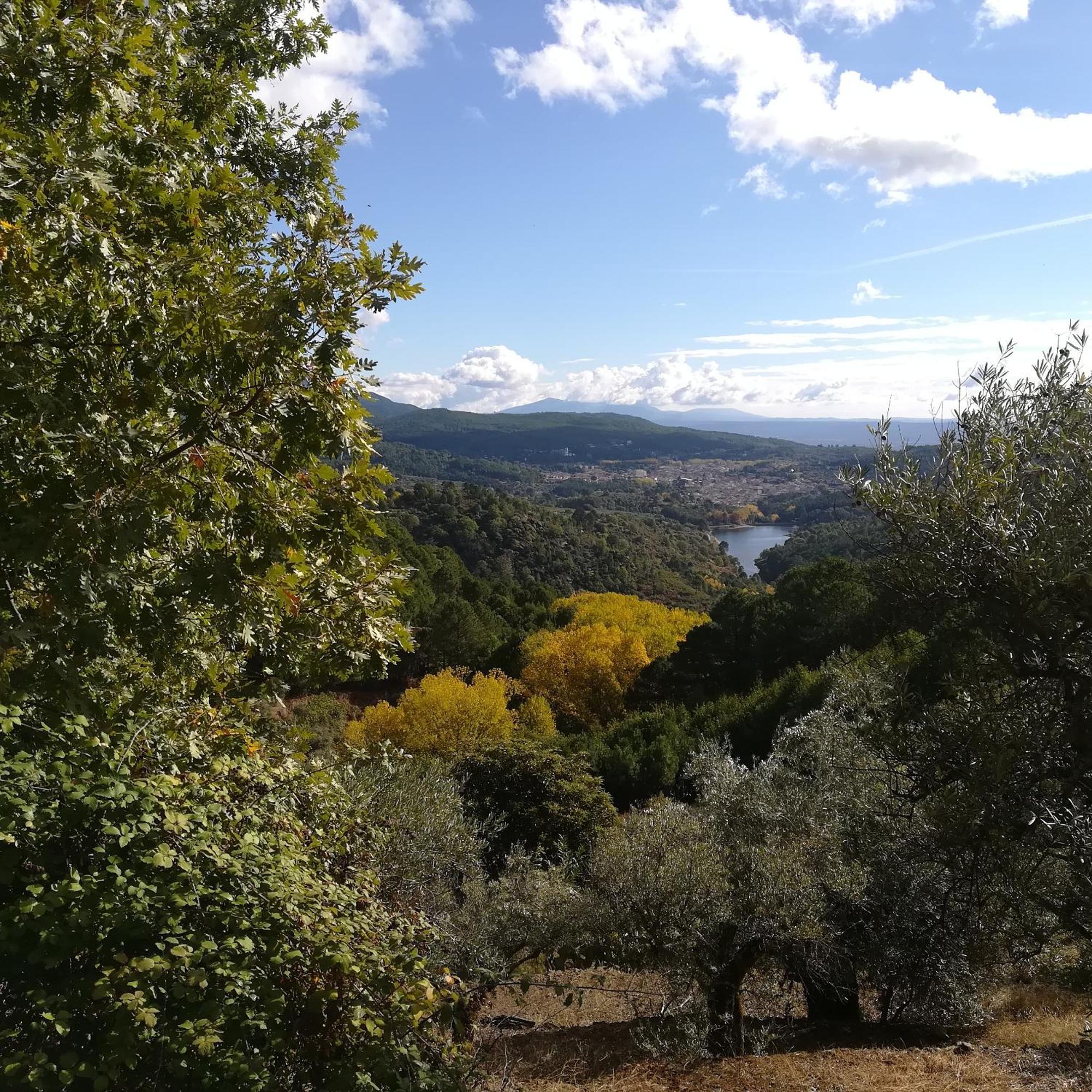 Albareilla By #Cherrygredos El Arenal  Exterior foto