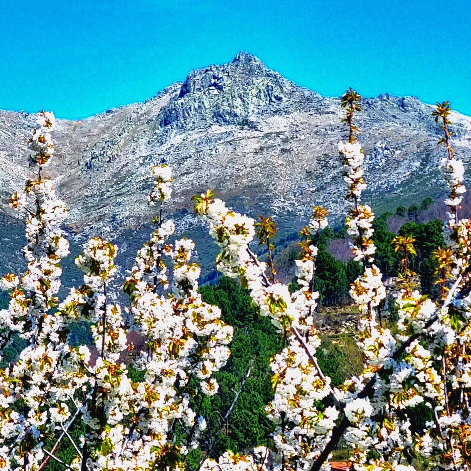 Albareilla By #Cherrygredos El Arenal  Exterior foto
