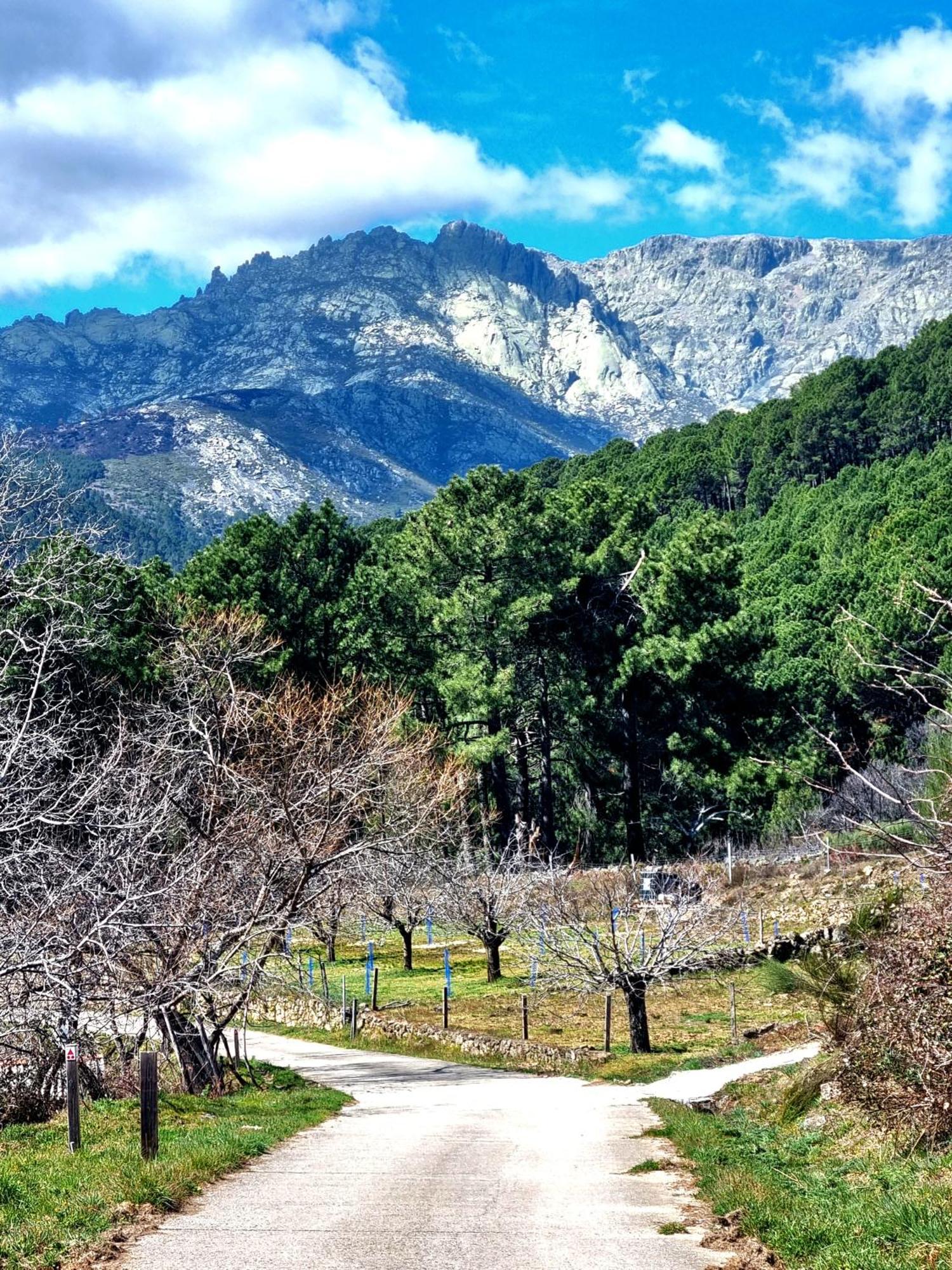 Albareilla By #Cherrygredos El Arenal  Exterior foto
