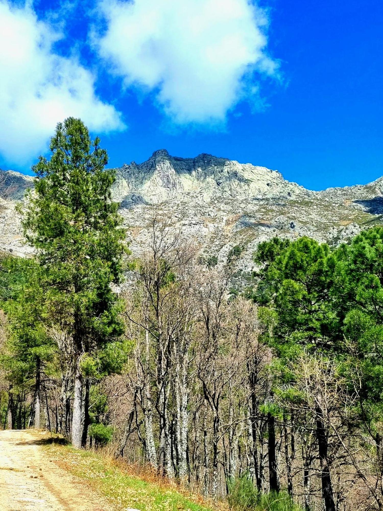 Albareilla By #Cherrygredos El Arenal  Exterior foto